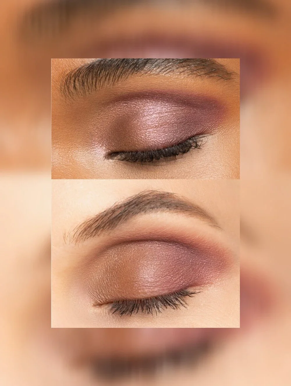 Chantecaille Gilded Garden Eye Duet in the shade Cassis NWT